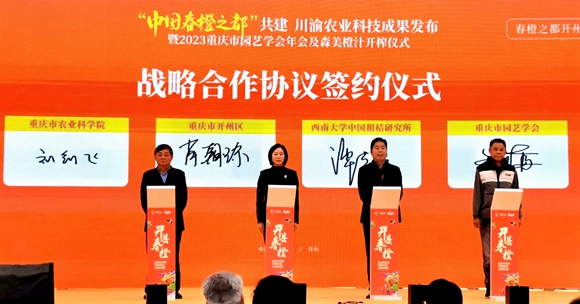 战略合作协议签约仪式。陈泓莹 摄